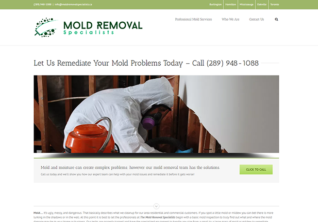 mold-removal-specialists