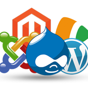 Content Management Systems