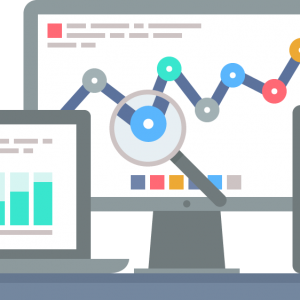 SEO Reports