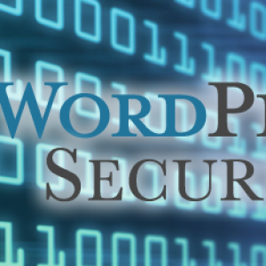 WordPress Security
